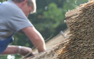 professional Hallen thatchers